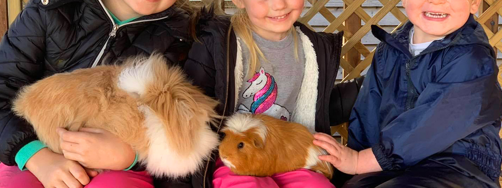 Fun with our Furry Friends